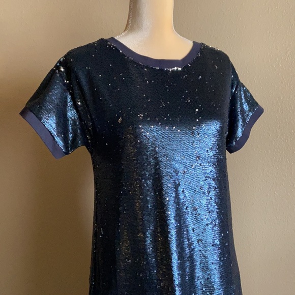 Anthro Moulinette Soeurs Sequin Easy Fit Shift Dress - Picture 6 of 16